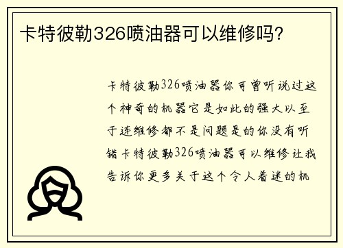 卡特彼勒326喷油器可以维修吗？